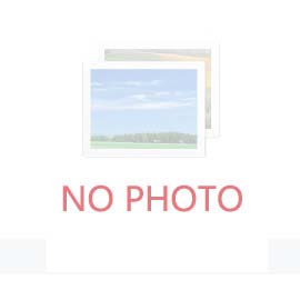 江苏新东吴介绍影响螺纹钢价格的因素